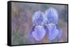 Iris Blue Rhythm-Cora Niele-Framed Stretched Canvas