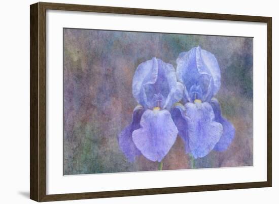 Iris Blue Rhythm-Cora Niele-Framed Photographic Print