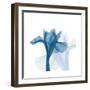 Iris Blues B51-Albert Koetsier-Framed Art Print