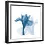 Iris Blues B51-Albert Koetsier-Framed Art Print