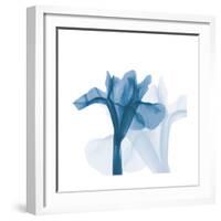 Iris Blues B51-Albert Koetsier-Framed Art Print