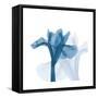 Iris Blues B51-Albert Koetsier-Framed Stretched Canvas