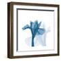 Iris Blues B51-Albert Koetsier-Framed Art Print