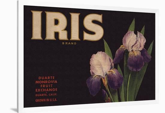 Iris Brand - Duarte, California - Citrus Crate Label-Lantern Press-Framed Art Print