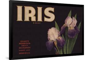 Iris Brand - Duarte, California - Citrus Crate Label-Lantern Press-Framed Art Print