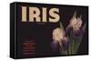 Iris Brand - Duarte, California - Citrus Crate Label-Lantern Press-Framed Stretched Canvas