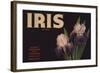 Iris Brand - Duarte, California - Citrus Crate Label-Lantern Press-Framed Art Print