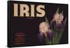 Iris Brand - Duarte, California - Citrus Crate Label-Lantern Press-Framed Stretched Canvas