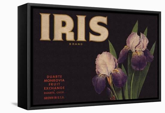 Iris Brand - Duarte, California - Citrus Crate Label-Lantern Press-Framed Stretched Canvas
