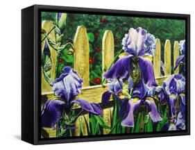 Iris' by the Fence-Bruce Dumas-Framed Stretched Canvas