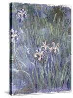 Iris, C.1914-1917-Claude Monet-Stretched Canvas