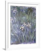 Iris, C.1914-1917-Claude Monet-Framed Giclee Print