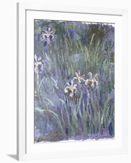 Iris, C.1914-1917-Claude Monet-Framed Giclee Print