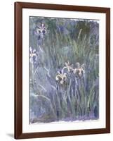 Iris, C.1914-1917-Claude Monet-Framed Giclee Print