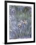 Iris, C.1914-1917-Claude Monet-Framed Giclee Print