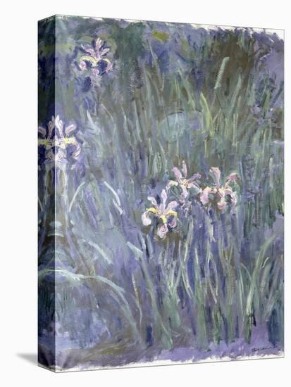 Iris, C.1914-1917-Claude Monet-Stretched Canvas