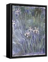 Iris, C.1914-1917-Claude Monet-Framed Stretched Canvas