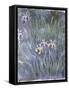 Iris, C.1914-1917-Claude Monet-Framed Stretched Canvas