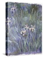 Iris, C.1914-1917-Claude Monet-Stretched Canvas