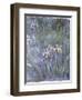 Iris, C.1914-1917-Claude Monet-Framed Giclee Print