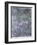 Iris, C.1914-1917-Claude Monet-Framed Giclee Print