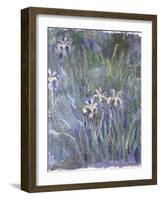 Iris, C.1914-1917-Claude Monet-Framed Giclee Print