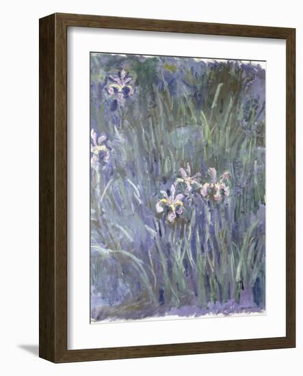 Iris, C.1914-1917-Claude Monet-Framed Giclee Print