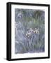 Iris, C.1914-1917-Claude Monet-Framed Giclee Print