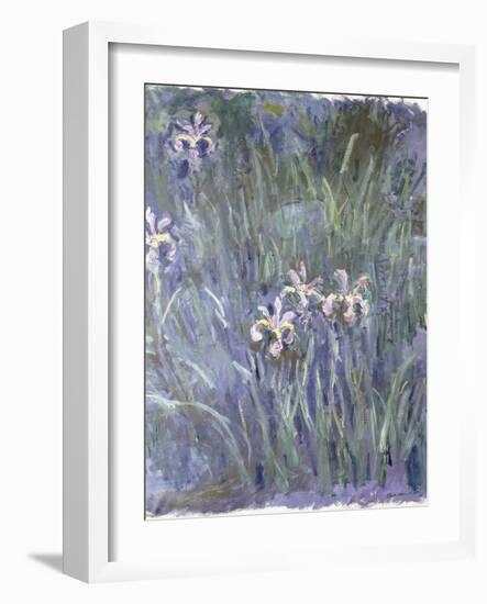 Iris, C.1914-1917-Claude Monet-Framed Giclee Print
