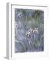 Iris, C.1914-1917-Claude Monet-Framed Giclee Print