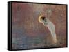 Iris, C1860-1893-John Atkinson Grimshaw-Framed Stretched Canvas