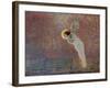 Iris, C1860-1893-John Atkinson Grimshaw-Framed Giclee Print