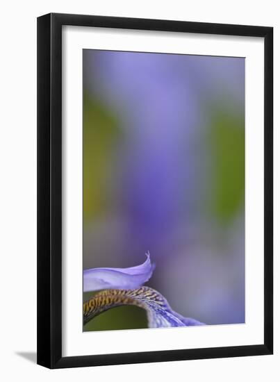 Iris, Close-Up-Andreas Keil-Framed Photographic Print