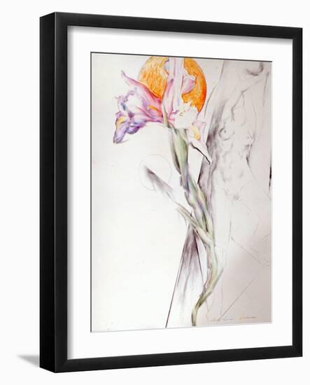 Iris - Composition II-Antonio Ciccone-Framed Giclee Print