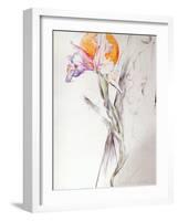 Iris - Composition II-Antonio Ciccone-Framed Giclee Print