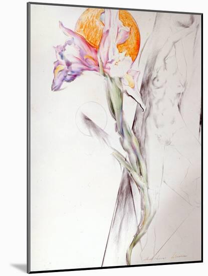 Iris - Composition II-Antonio Ciccone-Mounted Giclee Print