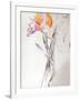 Iris - Composition II-Antonio Ciccone-Framed Giclee Print