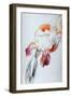 Iris - Composition IV-Antonio Ciccone-Framed Giclee Print