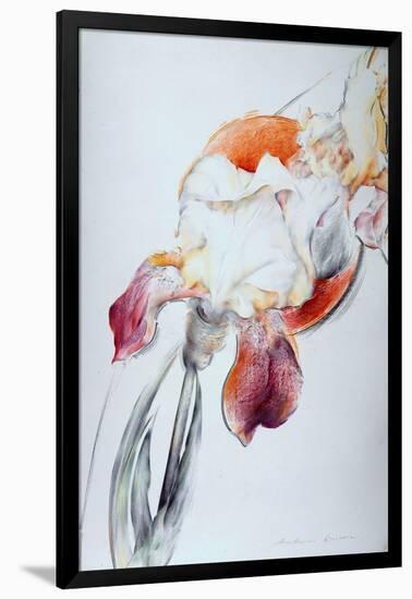 Iris - Composition IV-Antonio Ciccone-Framed Giclee Print