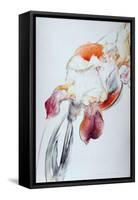 Iris - Composition IV-Antonio Ciccone-Framed Stretched Canvas