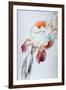 Iris - Composition IV-Antonio Ciccone-Framed Premium Giclee Print