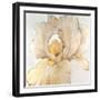 Iris Cream I-Tim OToole-Framed Art Print