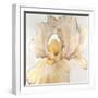 Iris Cream I-Tim OToole-Framed Art Print