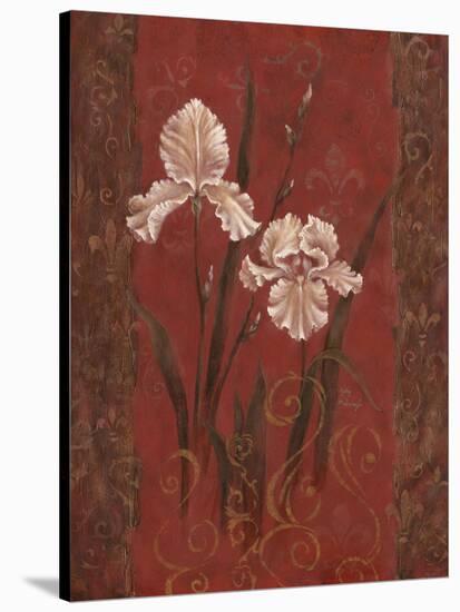 Iris Design-Judy Mastrangelo-Stretched Canvas