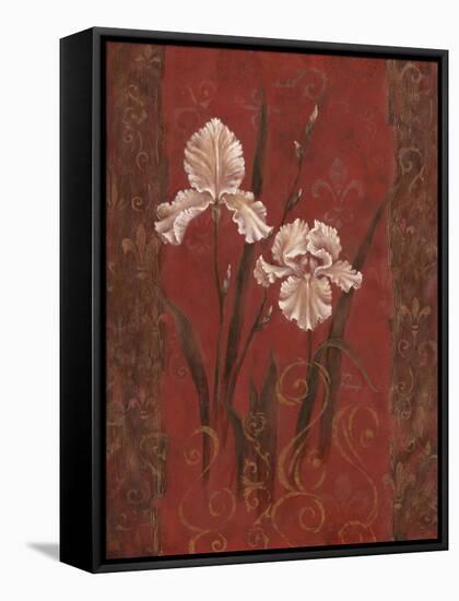 Iris Design-Judy Mastrangelo-Framed Stretched Canvas