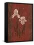 Iris Design-Judy Mastrangelo-Framed Stretched Canvas