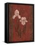 Iris Design-Judy Mastrangelo-Framed Stretched Canvas