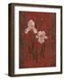 Iris Design-Judy Mastrangelo-Framed Giclee Print