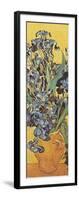 Iris Detail-Vincent van Gogh-Framed Art Print