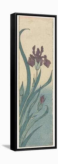 Iris, Early 19th Century-Utagawa Hiroshige-Framed Stretched Canvas